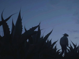 Mi Ranchito