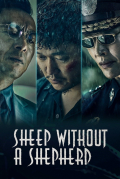 Película Sheep Without a Shepherd