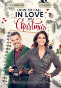 Película How to Fall in Love by Christmas