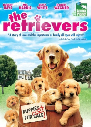 Un retriever... y seis más