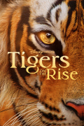 Película Tigers on the Rise
