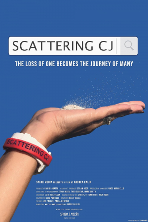 Scattering CJ Scattering CJ