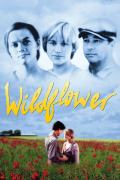 Película Wildflower