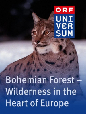 Los bosques de bohemia