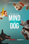 Película Inside the Mind of a Dog