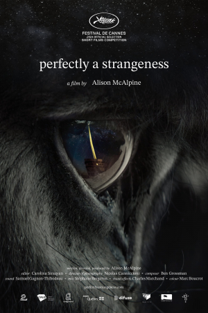 Perfectly a Strangeness