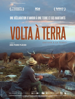 Volta à Terra
