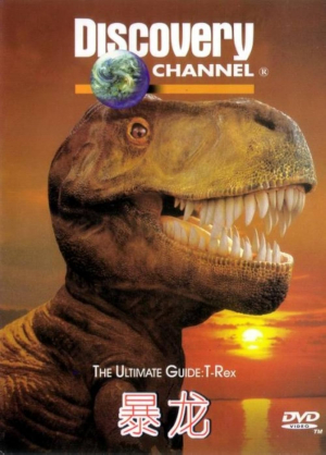 The Ultimate Guide: T