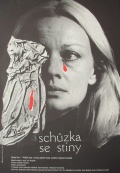 Schůzka se stíny