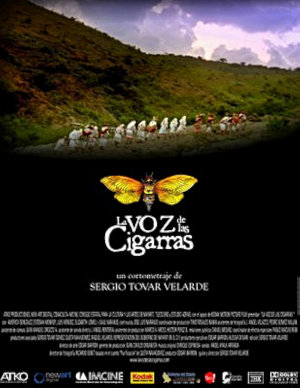 La voz de las cigarras