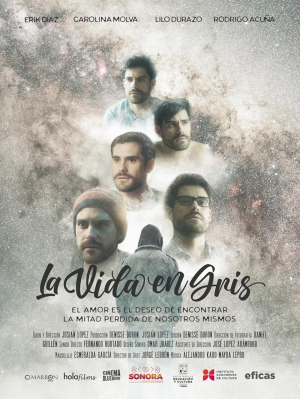 La vida en gris