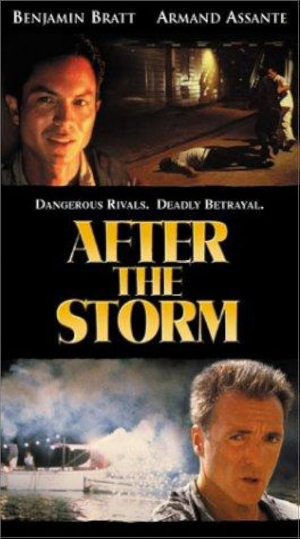 Tras la tormenta
