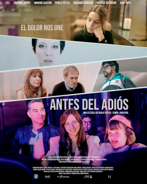 Antes del adiós