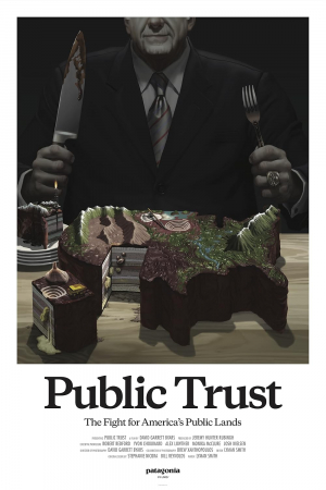 Public Trust