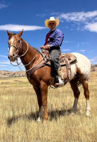 Rex Peterson: Hollywood Horseman