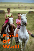 Película East of Wall