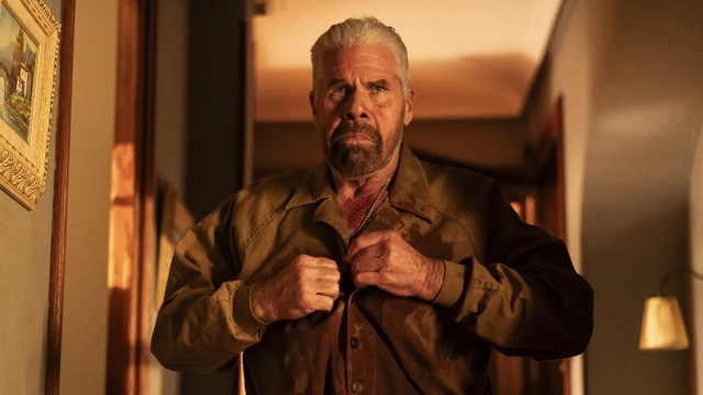 Ya no quedan junglas