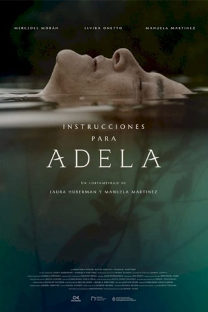 Instructions for Adela