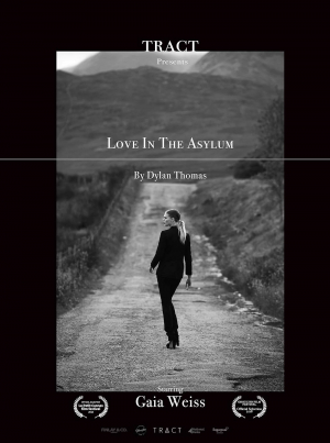 Love In The Asylum