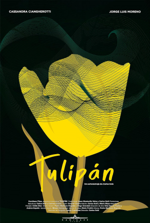 Tulipan