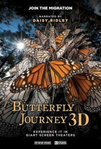 Butterfly Journey