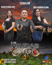 Las Viudas del Capo 2