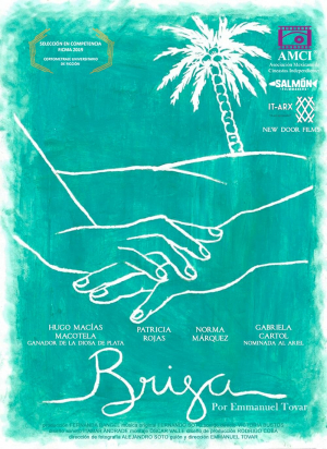 Brisa