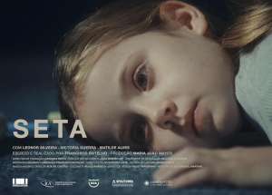 Seta