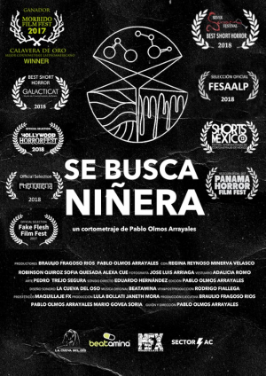 Se busca niñera