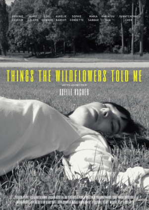 Things the Wildflowers Told Me