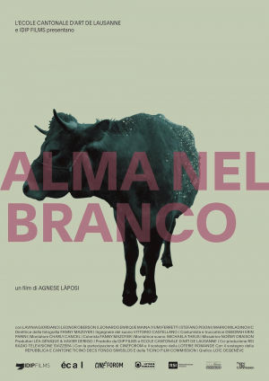 Alma nel Branco