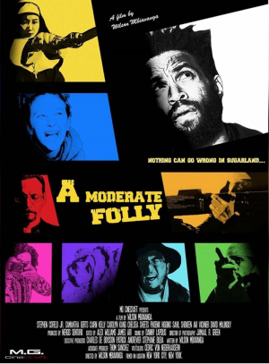 A Moderate Folly
