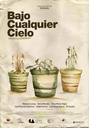 Bajo cualquier cielo