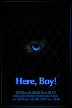 Here, Boy!