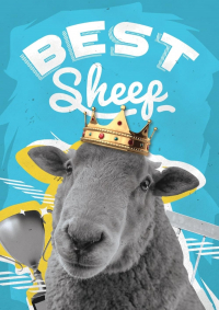 Best Sheep