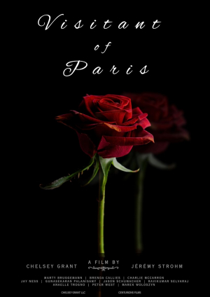 Visitant of Paris