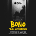 Bono: Stories of Surrender