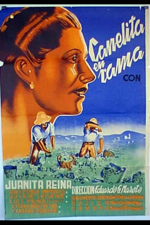 Canelita en rama
