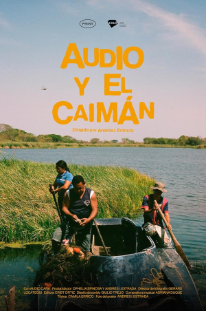 Audio y el Caimán