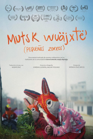 Pequeños zorros