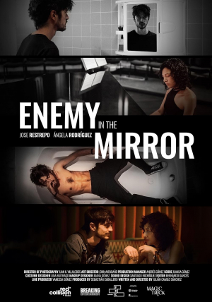Enemy in the Mirror