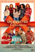 Película Unexpected Christmas