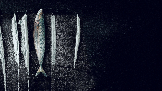 Marea blanca: La surrealista historia de Rabo de Peixe