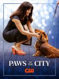 Película Paws in the City