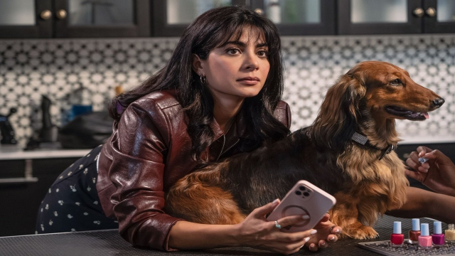 The Dachshund Wears Designer