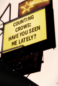 Counting Crows: Have You Seen Me Lately?