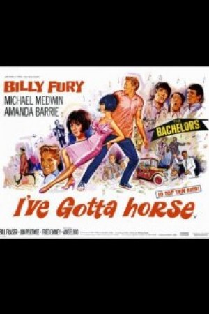I've Gotta Horse