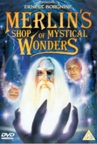 La mística tienda de las maravillas de Merlín