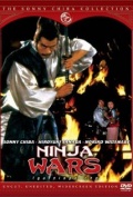 Death of a Ninja