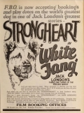 White Fang